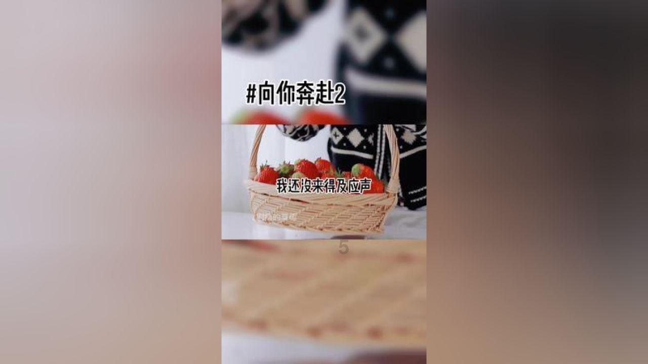 原油期货大涨超3%创一年新高，宏观利好振奋市场交投
