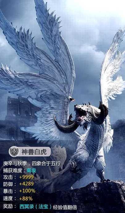 动物狂欢夜