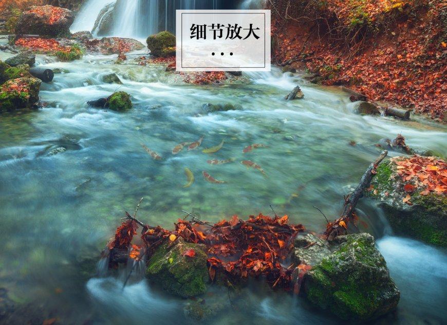 逆势扬帆求跨越