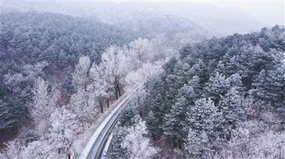 和男朋友讲道理的结果是什么？游戏画面